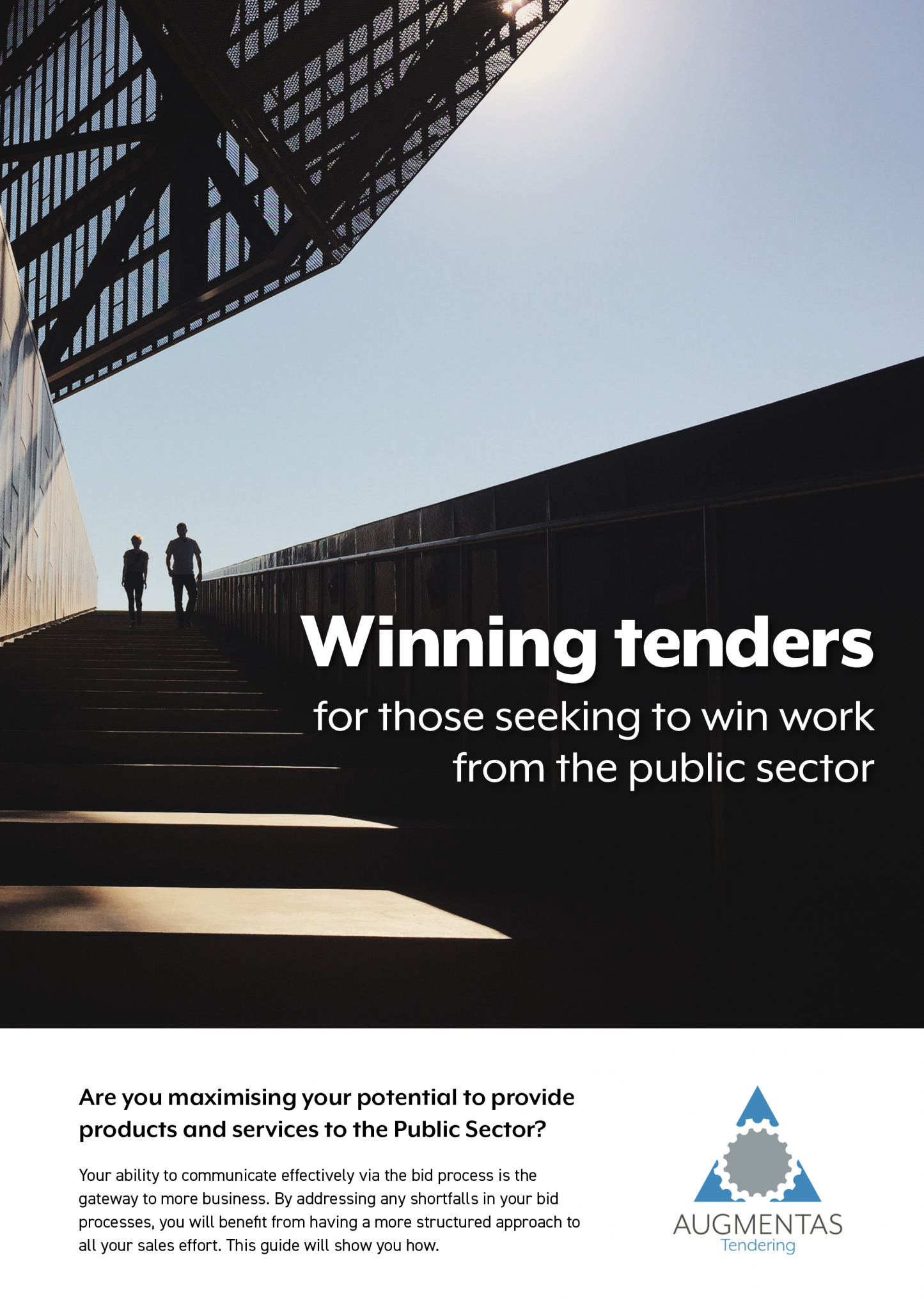 5 Ways You Can Get More Public Tenders While Spending Less